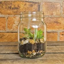 Mason Jar Succulent Plant Terrarium Mason Jar Succulents Mason Jar Terrarium Planting Succulents