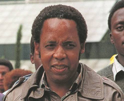 Limpho Hani bars Zuma's MKP from struggle stalwart's gravesite | News24