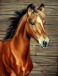 Image Result For Cute Realistic Horse To Draw In Color Horses Horse Art Cross Paintings Horse drawings animal drawings cute drawings pregnant horse arte grunge image rock horse sketch image chat horse coloring pages. pinterest