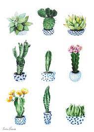 Cactaceae watercolor painting drawing, drawing cactus flowering cactus collection, red cactus plants art, cactus, flower, fruit png. 31 Succulent Art Ideas Succulent Art Succulents Drawing Art
