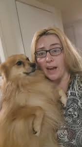 Lost Dog Possibly Found in Poteau Area