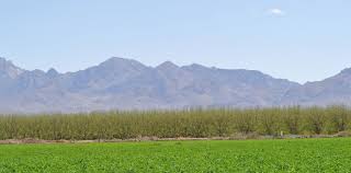 Nh department of agriculture, markets and food mailing: Nmda Pesticides Compliance And Applicator Licenses