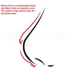 How To Draw Anime Noses, Step By Step, Drawing Guide, By Dawn - Dragoart