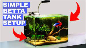 Daylight and moonlight led setting. Betta Fish Tank Setup Online Shopping