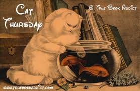 If clearly stated, photos of cat(s) you don't know is allowed, within reason. True Book Addict Books Cats And More June 2019
