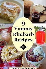 Rhubarb Pudding Cake Plus 9 More Yummy Rhubarb Recipes Recipe Rhubarb Recipes Rhubarb Pudding Cake Pudding Cake
