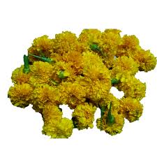 Marigolds may also repel mosquitos. Loose Flowers Anushia Flower Shop