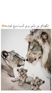 pin by hadeer iq on lion اسد lion art cover photo quotes animals