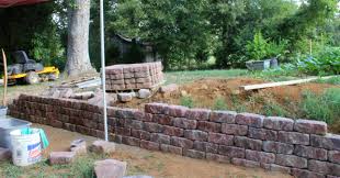 We did not find results for: Retaining Wall Learning Curve Duckweed Gardening