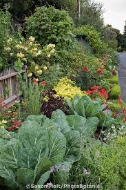 You also want to doodle and out. Holt 409 0529 Jpg Photobotanic Stock Photography Garden Library Garden Layout Front Yard Garden Small Front Yard Landscaping