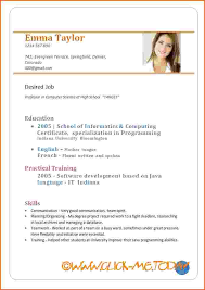 Cv Resume Template Doc | Example Template