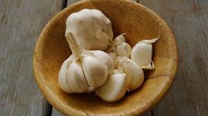 Yang membedakan bawang putihini dengan bawang putih biasa untuk penggunaannya, bawang putih biasa dimakan langsung atau di buat ekstrak. Apakah Bawang Putih Termasuk Sayuran Berikut Penjelasan Beserta Khasiatnya Bagi Kesehatan Tribun Jogja