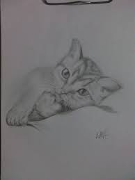 Menebar aroma yang tak disukai kucing. Cara Menggambar Kucing Menngunakan Pensil N Da Blog