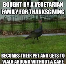 Hilarious Thanksgiving Turkey Memes Funny Thanksgiving Memes Funny Turkey Memes Funny Turkey Pictures
