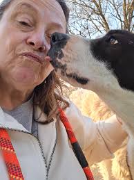 Free puppies, the mom is very protective of the house but very playful!