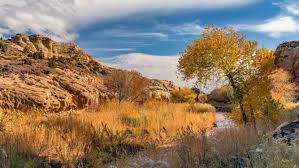 Hacked apk version on phone and tablet. Wallpaper Wilderness Cloud Plant Water Natural Landscape Background Download Free Image