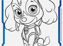 Some of the coloring page names are paw patrol skye coloring, skye from paw patrol coloring, skye flying paw patrol coloring, paw patrol skye coloring, paw patrol skye coloring, paw patrol skye coloring, paw patrol skye is flying coloring, paw patrol skye want to fly coloring cartoons coloring coloring, sea patrol skye. Paw Patrol Coloring Pages Pics Paw Patrol Skye Coloring Page Coloring Home