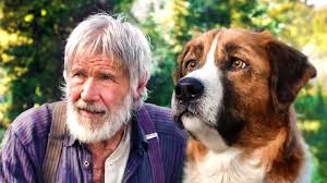 Harrison ford, 13 июля 1942 • 78 лет. 15 Book To Movie Adaptations We Can T Wait To See In 2020 Wild Movie Harrison Ford Movie Adaptation