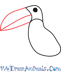 Toucan drawing step by step at getdrawings com free for. How To Draw A Toucan