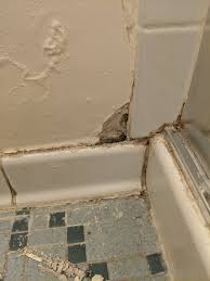 What is best drywall wet locations? Repairing Wall Near Shower And Floor Drywall Repair Home Improvement Stack Exchange