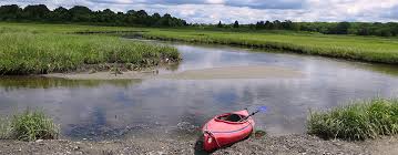 Image result