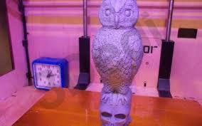3d Kurukafa Uzerinde Baykus Biblosu Modeli 3d Baski Sus Baski