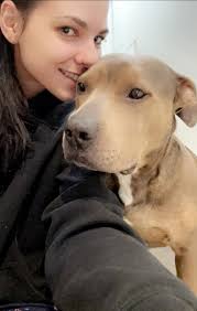 Squeaky toy recommendations for strong chewers