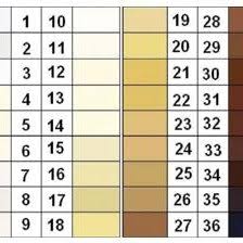 Fischer Saller Scale 12 Download Scientific Diagram