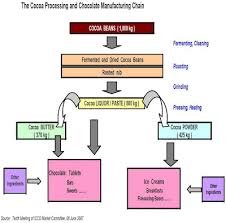 rigorous flow chart of cocoa processing flowchart process of