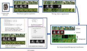 Animal Scanner Software For Classifying Humans Animals