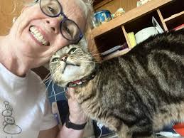 Introduction to Kliban cat owners and their pets