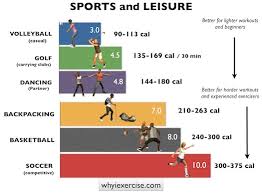 Metabolic Equivalent Which Physical Activities Burn More