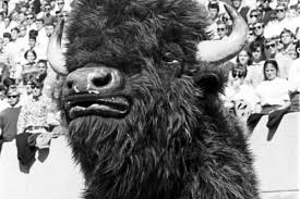 Message boards have long wasted space debating the subject. Iu S 16 Actual Or Proposed Mascots Ranked The Crimson Quarry