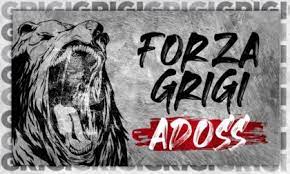 L' orso grigio, amico del grifone sin dal 4 maggio 1975, ruglia e riabbraccia con merito la serie b (assieme a como, perugia e ternana) dopo quarantasei anni. L Orso Dell Alessandria Calcio Diventa Un Lupo Gaffe Del Leader Della Lega Salvini Prima Alessandria