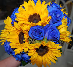 Happy monday images funny , good morning monday images for whatsapp , monday pictures , monday wallpaper photos. Monday Morning Flower And Balloon Co On Twitter Love Them Or Hate Them Blue Dyed Dutch Roses Funkyflowers Sunflowers Noflowerleftbehind