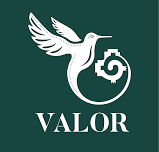 Valor Tequila Tasting
