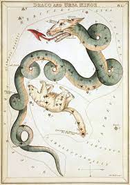 Draco Constellation Draco Constellation Ursa Minor Draco