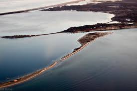 The Vineyard Gazette