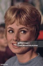 27,512 Woman Sideways Glance Stock Photos, High-Res Pictures, and Images