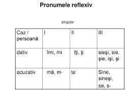 El , ea ( singular), ei ,ele( plural). Pronumele Reflexive Au Categoria GramaticalÄ A Persoanei Adjectivele Ppt Download