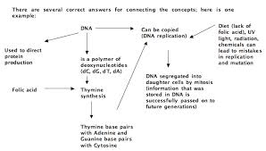To overcome this drawback, a quantitative diagnosis tool, in. Concept Map Key