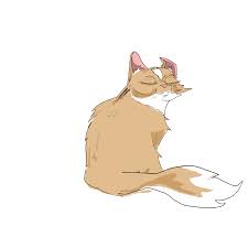 Still looking for the cat. Cat Sticker For Ios Android Giphy
