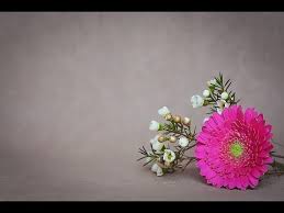 22 being in love with you makes every morning worth waking up to. Top Best Good Morning Wishes Images With Flowers Video For Her Him Cute Flower Greeting Card Youtube