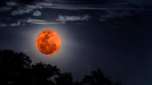Da filomena fotia 31 gennaio 2018 11:30. Eclissi Lunare 2019 Orario Esatto E Come Vederla In Diretta Streaming Libero Tecnologia