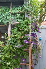 Https Www Villakoenig Blog De Wp Content Uploads 2018 07 20180709 Img 6071 Jpg In 2020 Garten Outdoor Dekorationen Balkon Blumen
