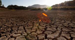 Resultado de imagen para suelo