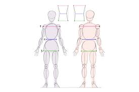 Cartoon Fundamentals How To Draw The Female Form See more ideas about poses, female drawing poses, drawing poses. how to draw the female form