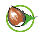 Die queenslandnuss (macadamia… … macadamia — ● macadamia nom masculin (de j. Eisforum Die Eisdielen Profis 100 Bio Pistazie