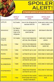 Spoiler Alert A Handy Infographic Guide To The Shelf Life