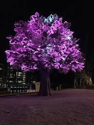 Maybe you would like to learn more about one of these? Gc8gn0x Oslo Treet Traditional Cache In Oslo Norway Created By Frodehu